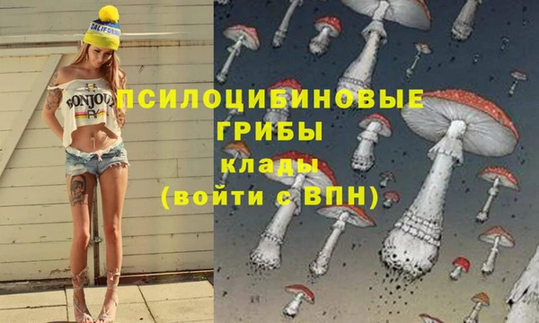 таблы Армянск